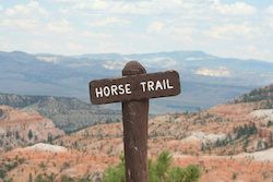 horse trail